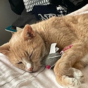 Meet your Posher, Suz